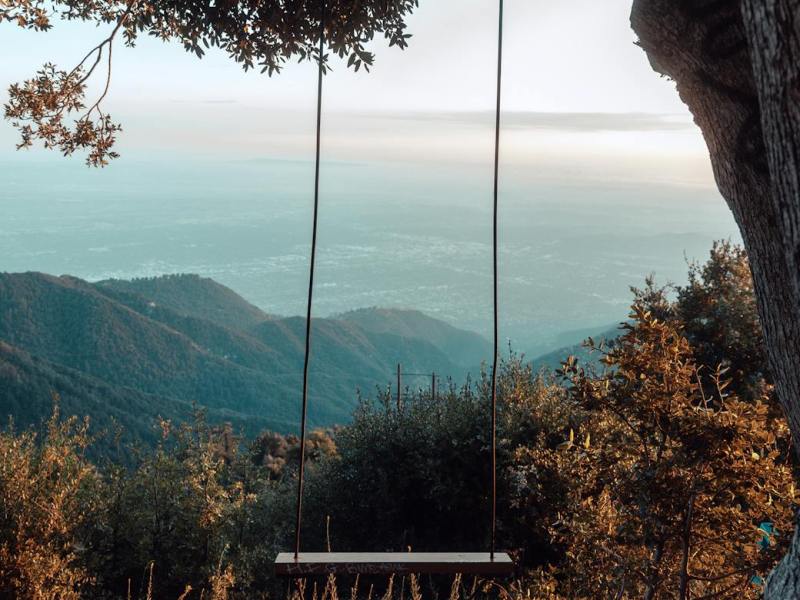 Dreaming of a simple&nbsp;life